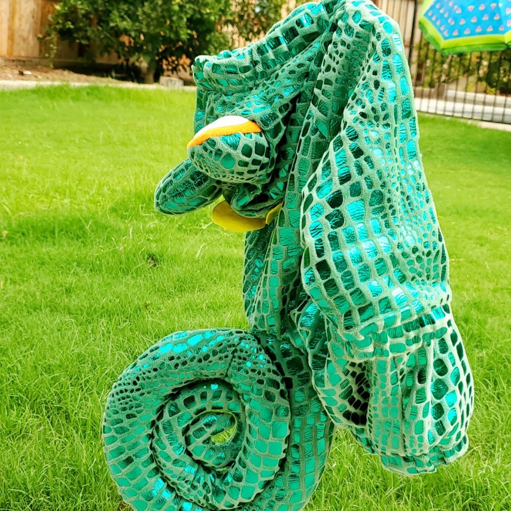 Baby costume! Chameleon costume